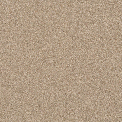 TERRA NOVA