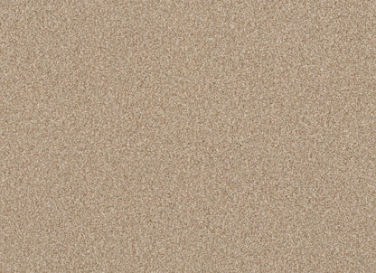 TERRA NOVA