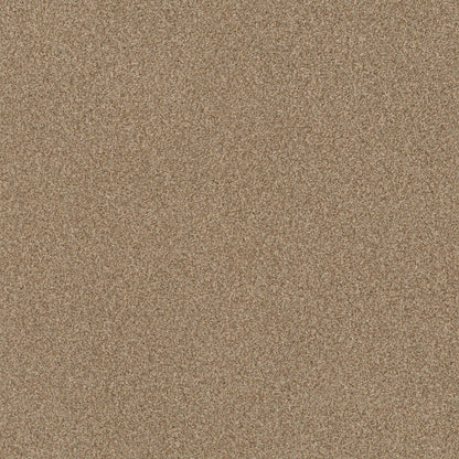 TERRA NOVA