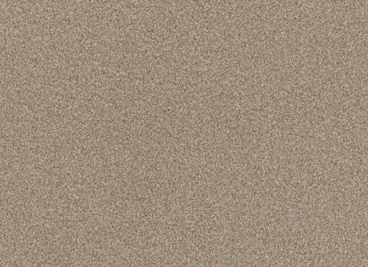 TERRA NOVA