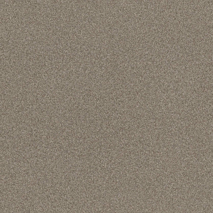 TERRA NOVA