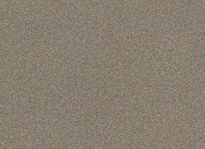 TERRA NOVA