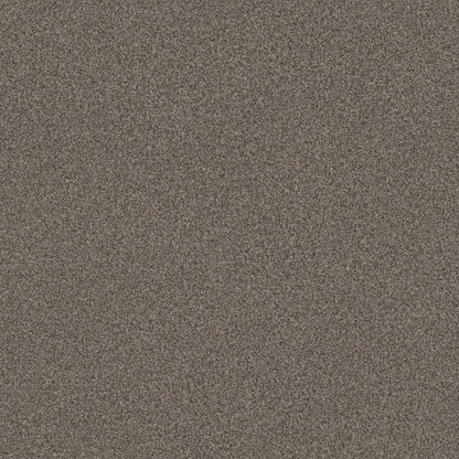 TERRA NOVA