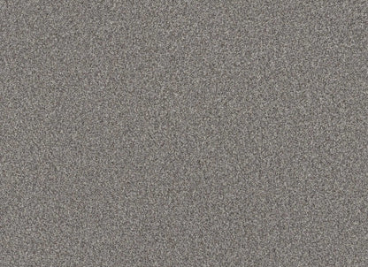 TERRA NOVA