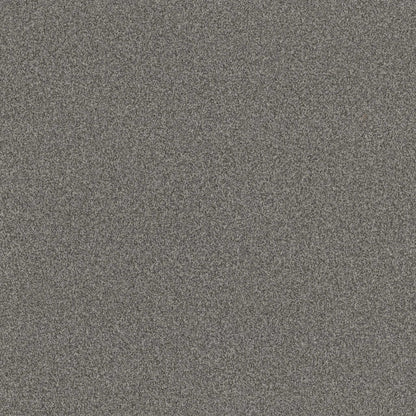 TERRA NOVA