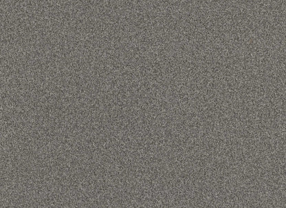 TERRA NOVA