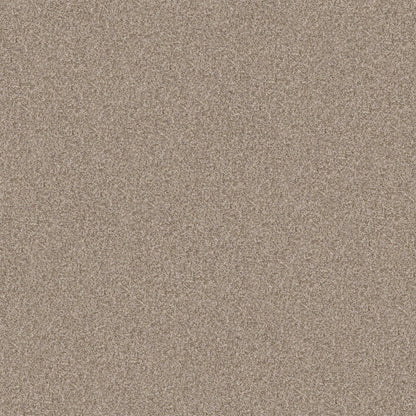 TERRA NOVA