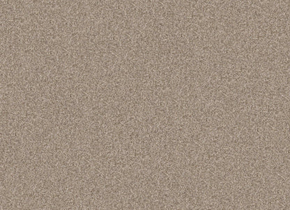 TERRA NOVA
