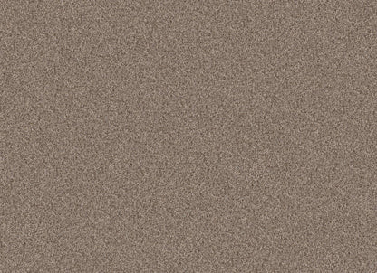 TERRA NOVA