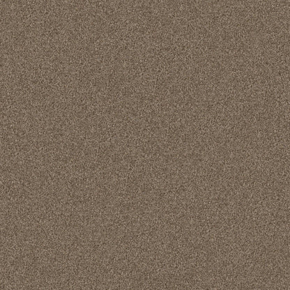 TERRA NOVA
