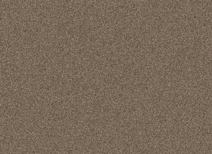 TERRA NOVA