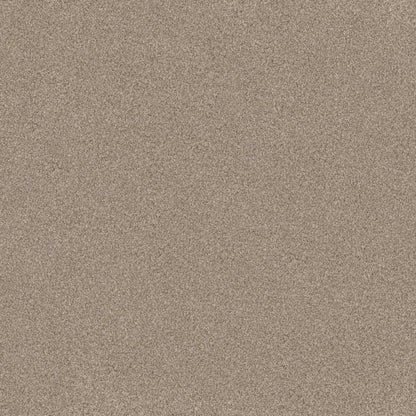 TERRA NOVA