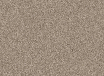 TERRA NOVA