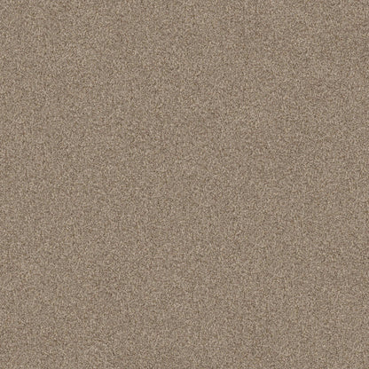 TERRA NOVA