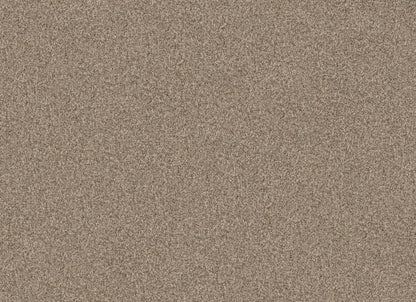 TERRA NOVA