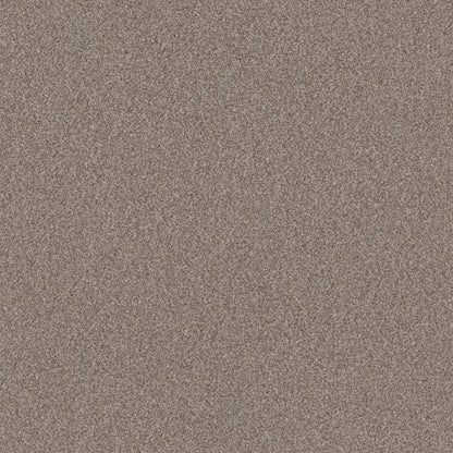 TERRA NOVA