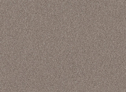 TERRA NOVA