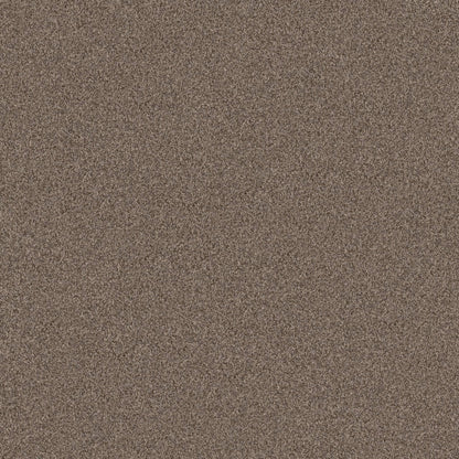 TERRA NOVA