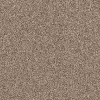 TERRA NOVA