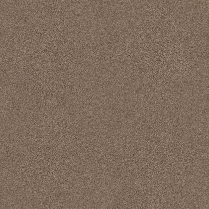 TERRA NOVA
