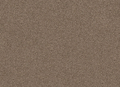 TERRA NOVA