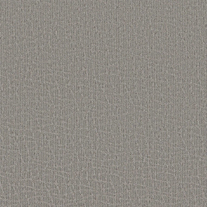CHIT CHAT in Still Gray Carpet