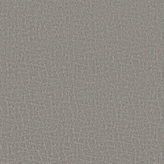 CHIT CHAT in Still Gray Carpet