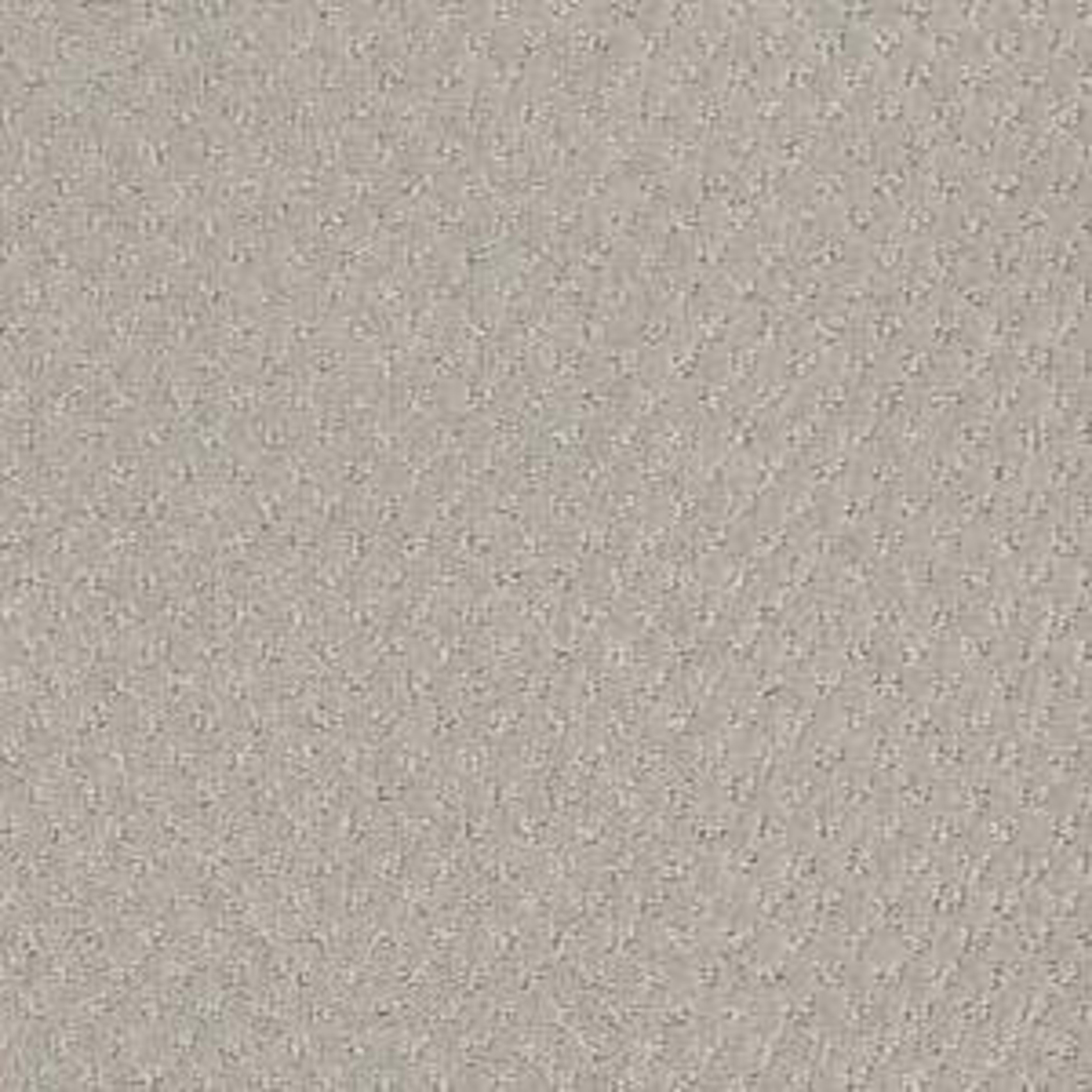 DEL VISTA in Bit Of Gray Carpet