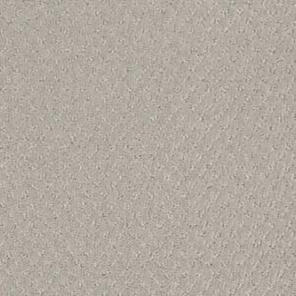 DEL VISTA in Bit Of Gray Carpet