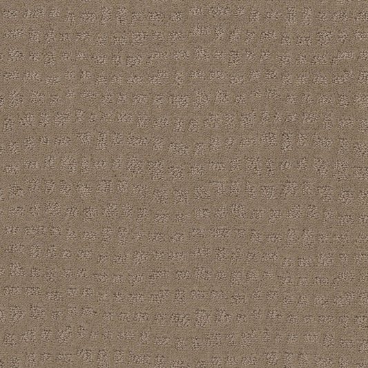SOLSTICE in Sierra Hills Carpet