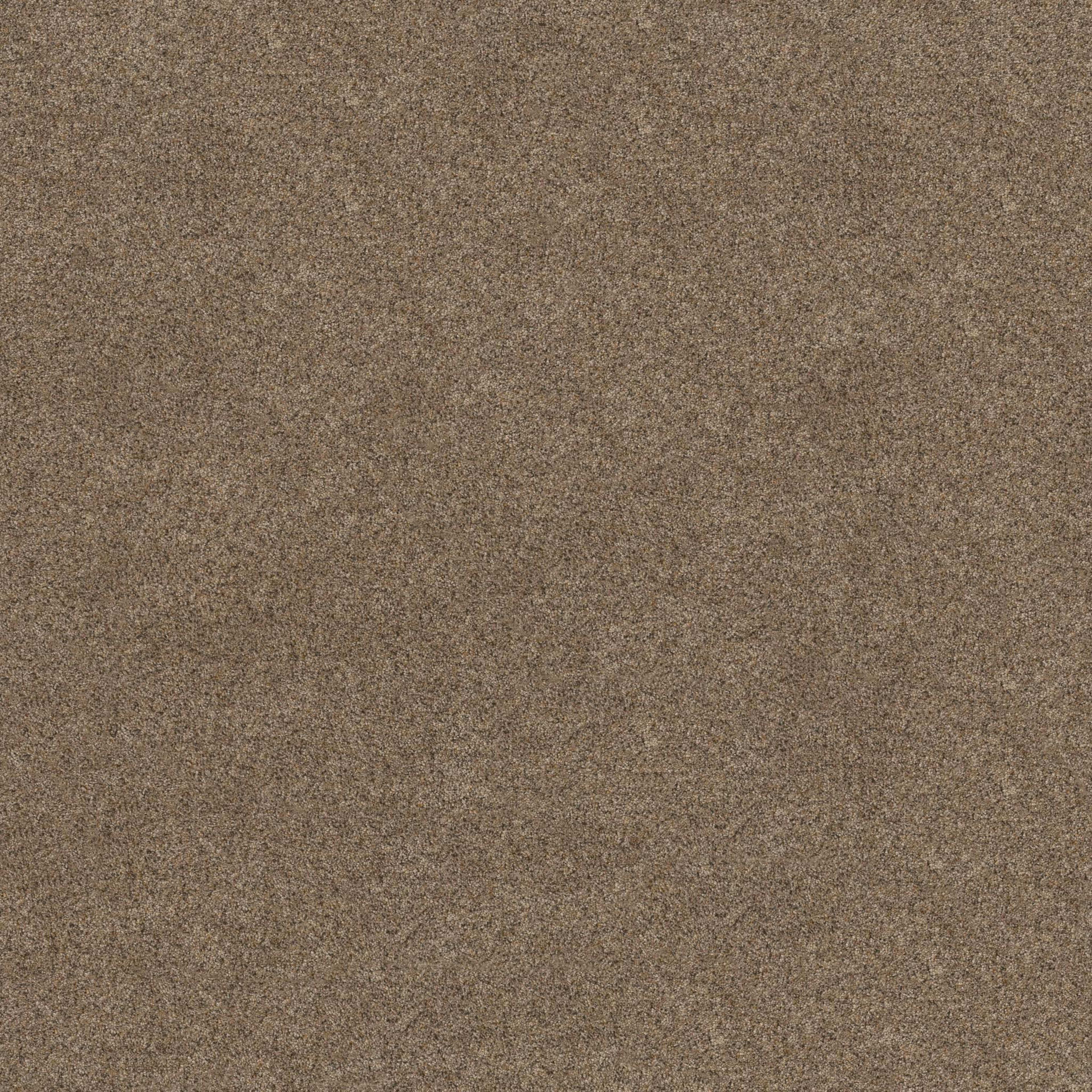 TOPANGA CANYON in Stone Age Carpet