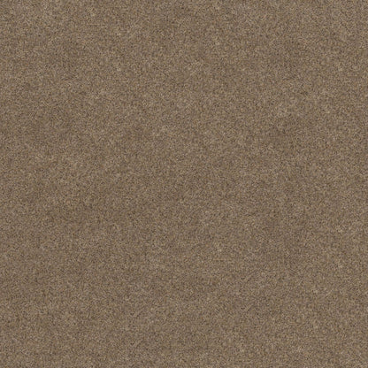 TOPANGA CANYON in Stone Age Carpet
