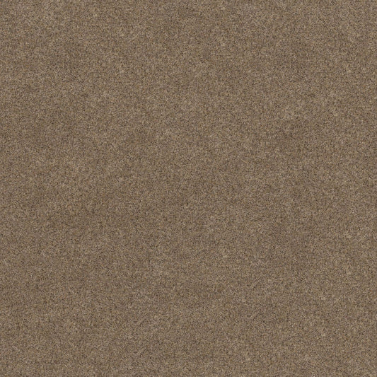 TOPANGA CANYON in Stone Age Carpet