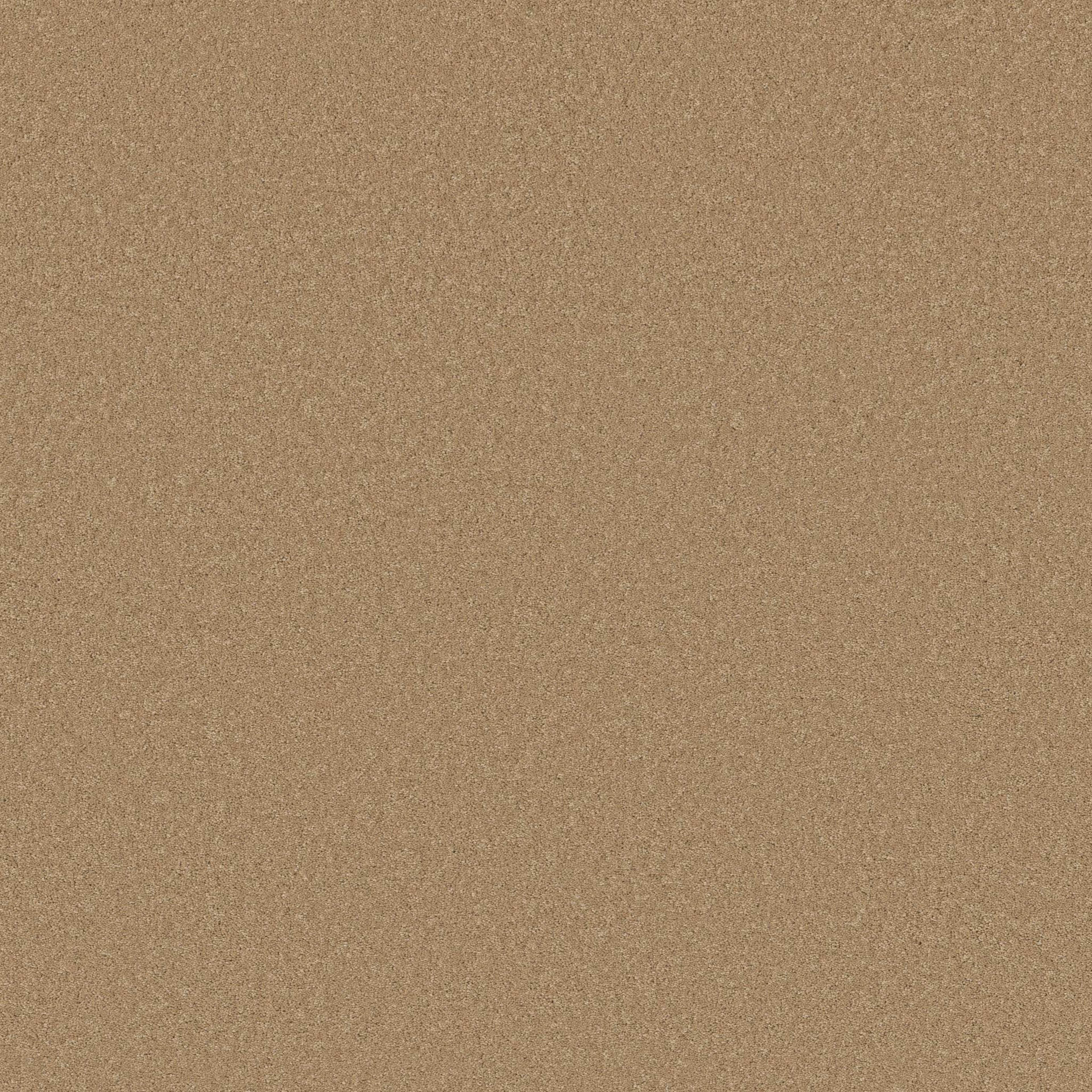 ENDURING CHARM in Winter Wheat Carpet