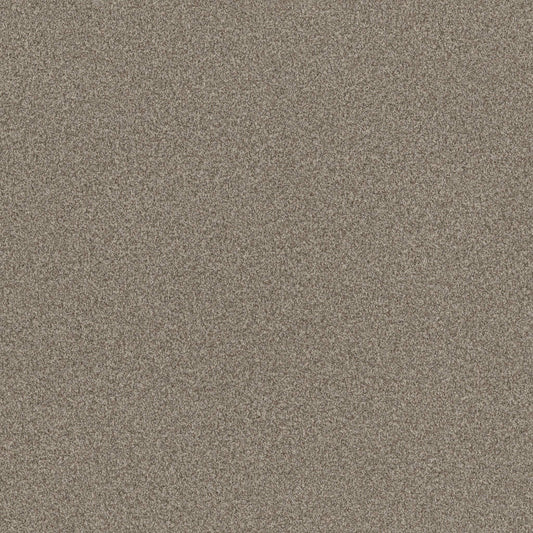 BOSSA NOVA in Urban Nature Carpet