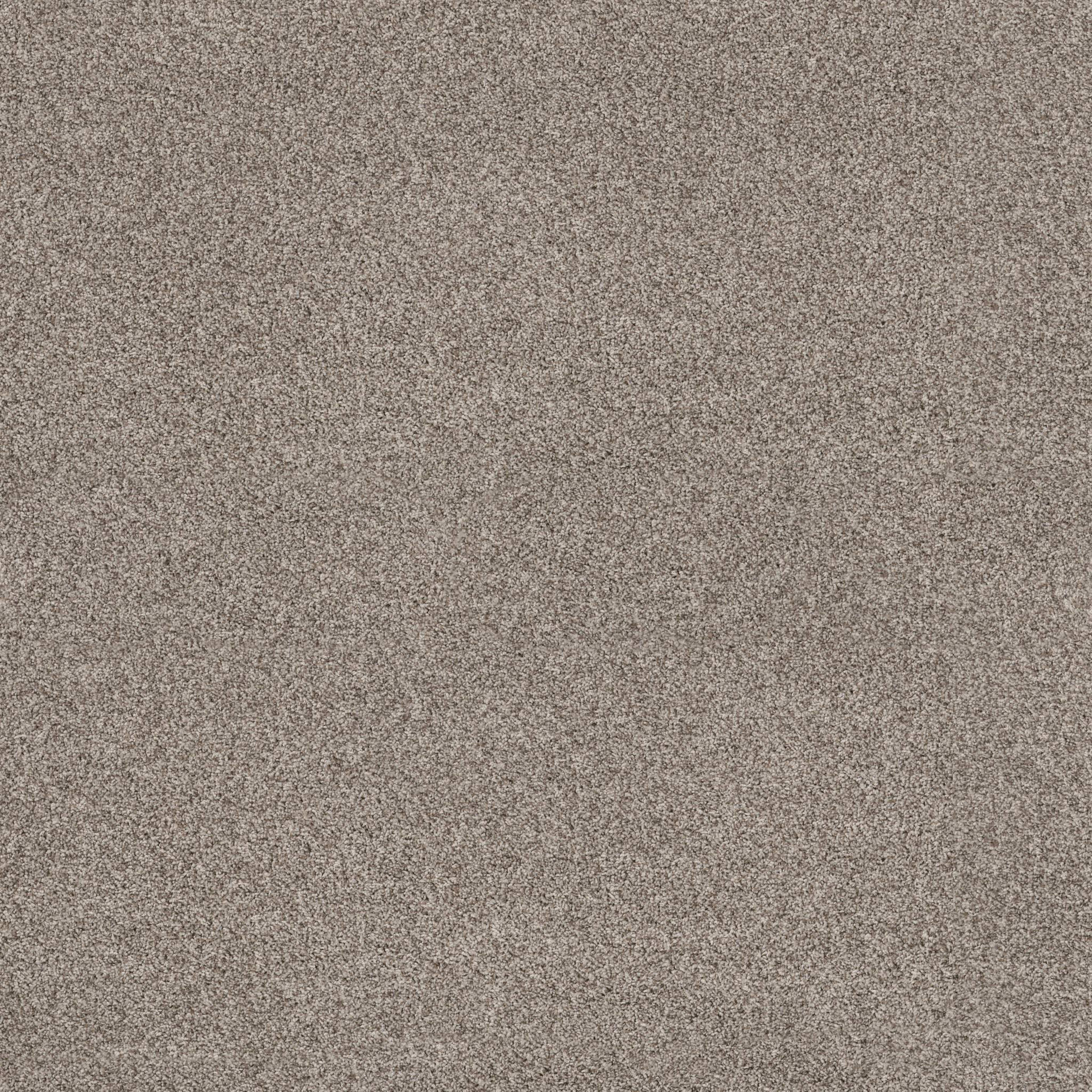 VIA NOVA in Pashmina Carpet