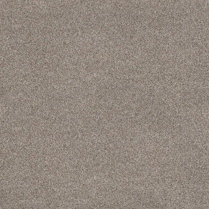 VIA NOVA in Pashmina Carpet