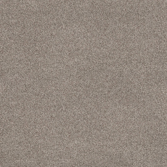 VIA NOVA in Pashmina Carpet
