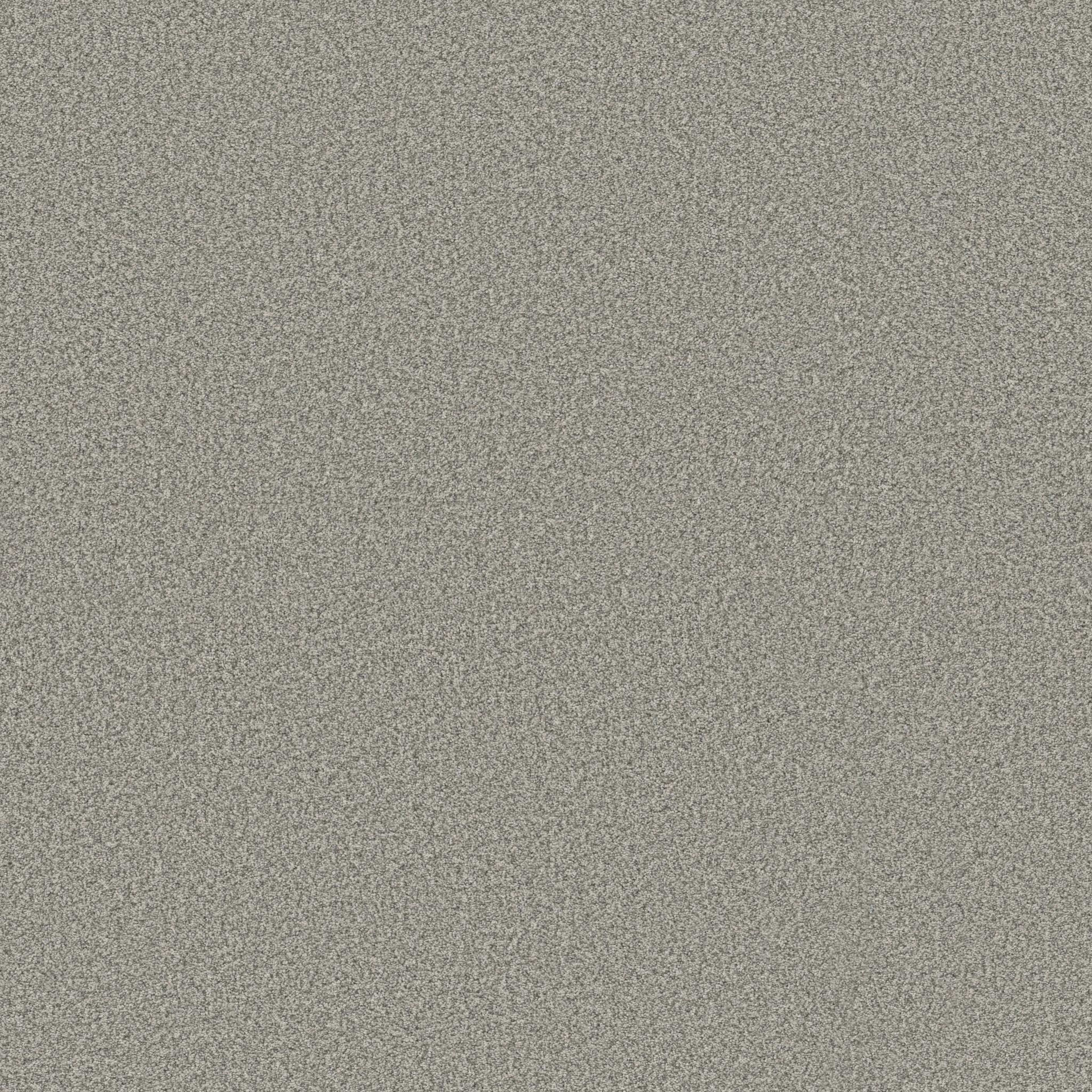 SOMERSET in Platinum Carpet