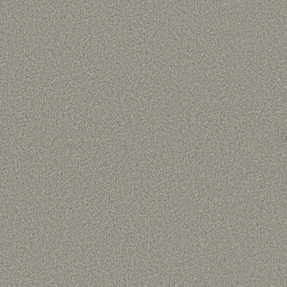 SOMERSET in Platinum Carpet