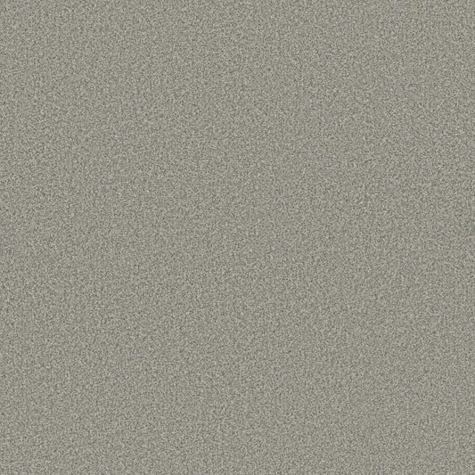 SOMERSET in Platinum Carpet