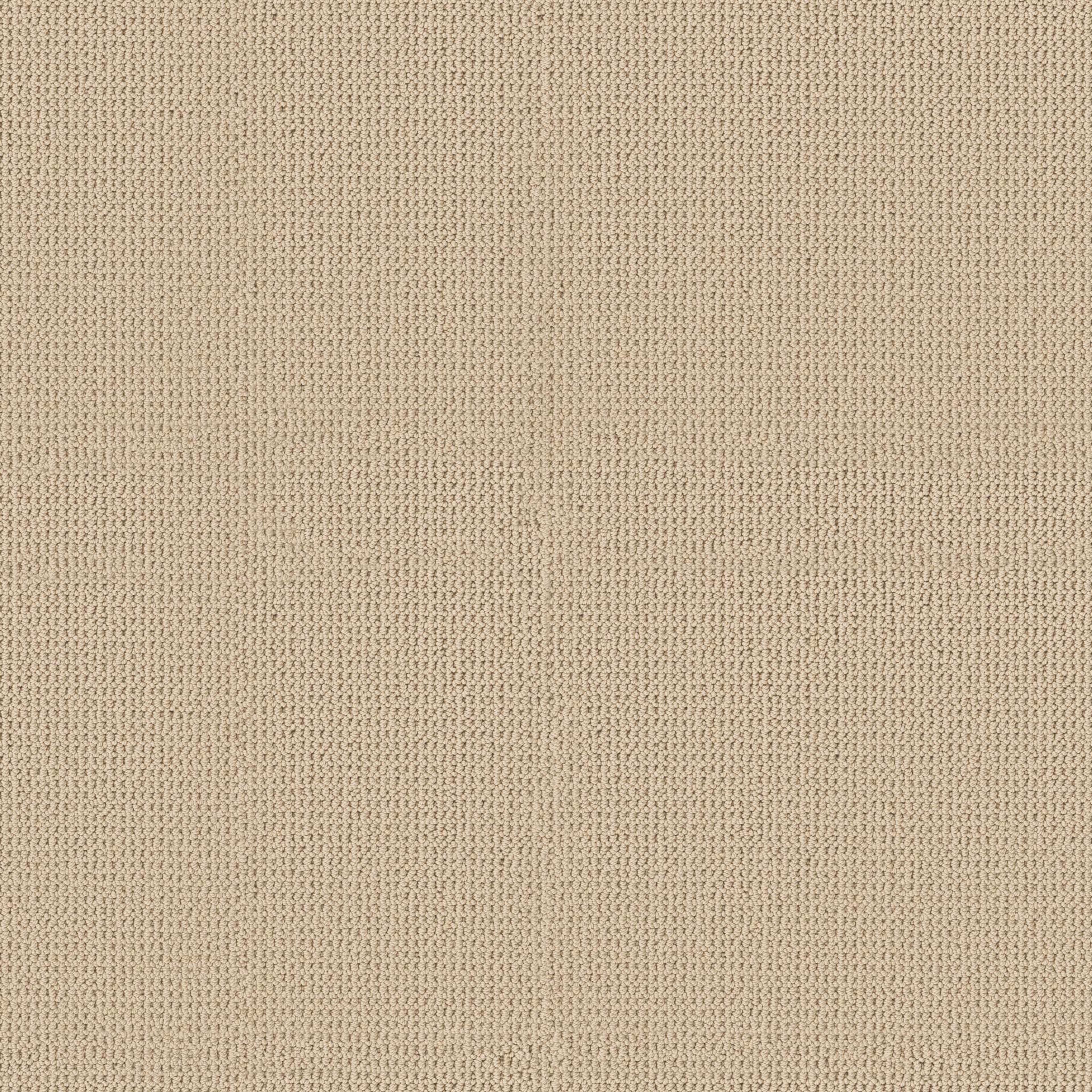 ARDEN PARK in Gelato Carpet