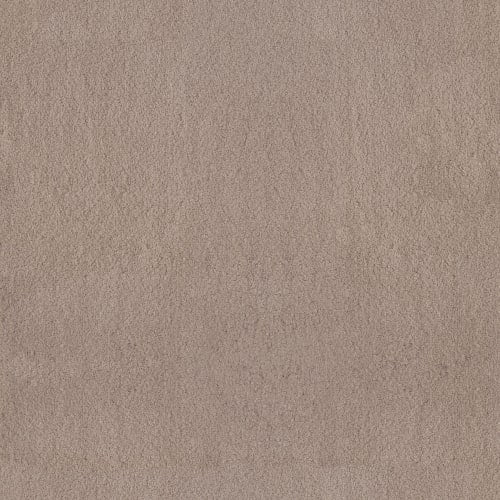 LUXE FEEL I in White Pine