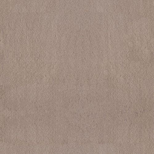LUXE FEEL II in White Pine