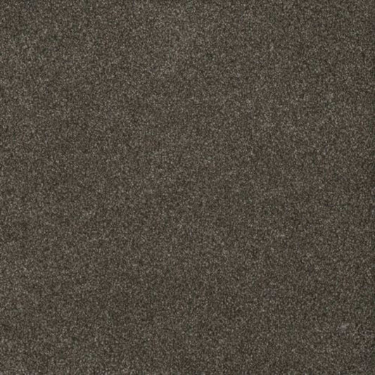 Gold Standard I in Zinc Carpet
