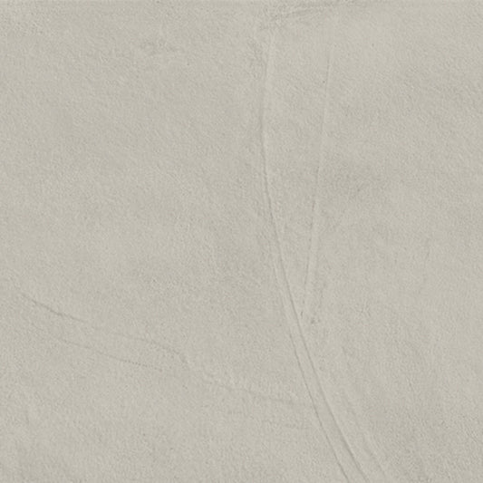 Spectrum in Light Grey 12"x24" Matte Tile