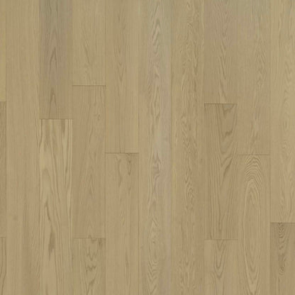 Serenity in Aglow Oak Hardwood