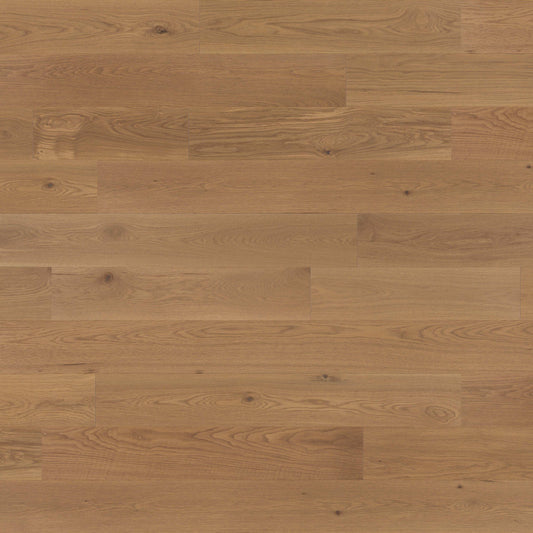 Muse - White Oak in Amelia 7'' Hardwood