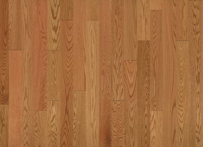 American Traditional Classics in Auburn Red Oak 5"