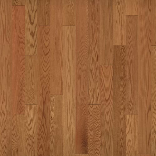 American Traditional Classics in Auburn Red Oak 5"